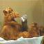 Mr_ALF